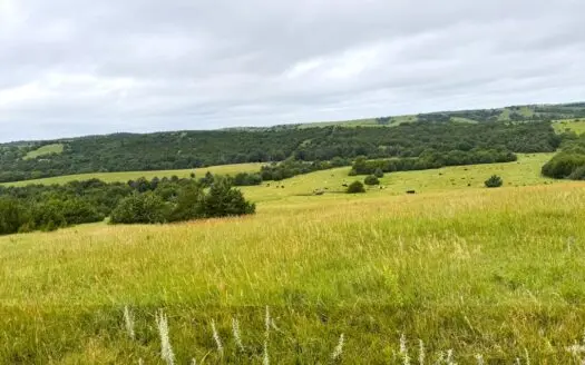 Custer County Nebraska Pasture for Sale