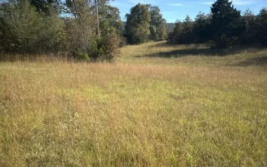 12 Acres (MOL) For Sale Nashoba, OK 74558 (Tract 1 North)