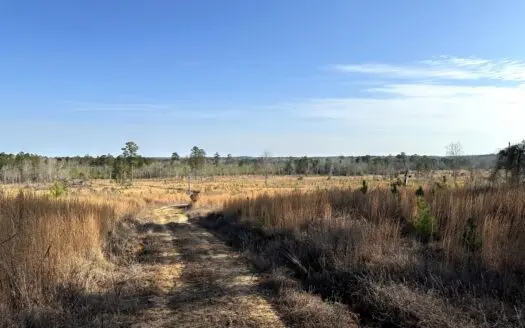 Prime Union Parish Land for Sale!!