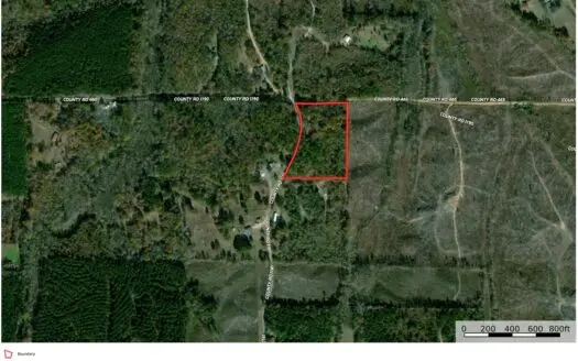 Rienzi, MS Potential Homesite +/-5.7 Acres
