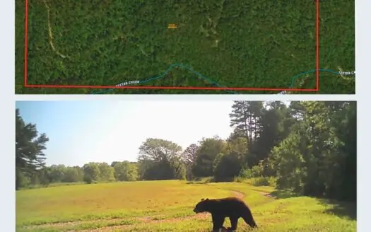 Private Land with well For Sale in Ava Mo – 76 acres