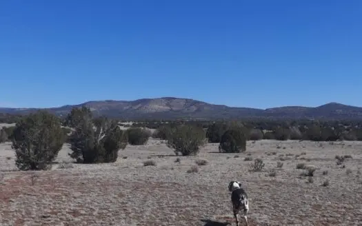 Gorgeous Northern AZ off grid 44.92 acre property