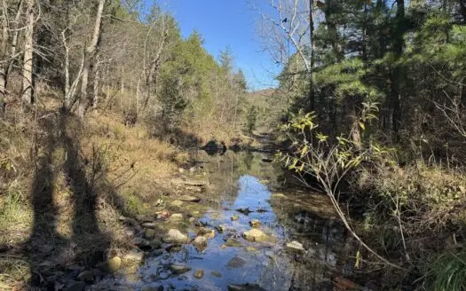 Hunting Land For Sale In North Central Arkansas