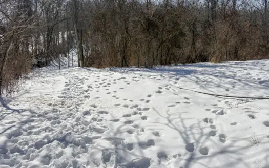 Tract 6 80± Acres | Bordering Wayne National Forest Monroe County
