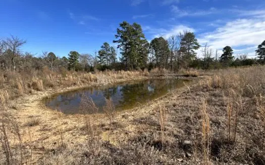 Hunting Land for Sale Ringold, OK- Property Pine Creek Lake