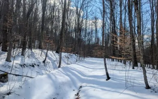 Beaver Pond and Hunting Beauty in Washington County Tract 15