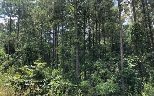 Prime East Texas Timber & Hunting Tract