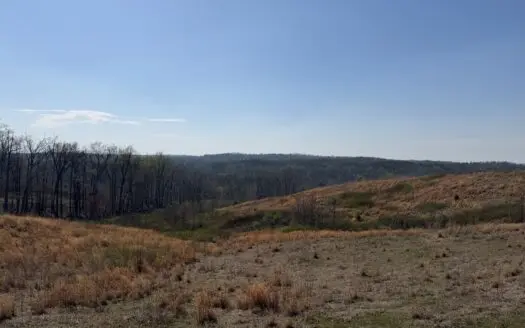 Land For Sale In Tn, Deer & Duck Hunting, Fenced Pasture