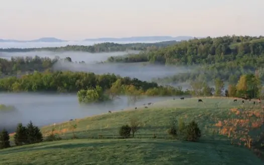 Country Home With Spectacular Views