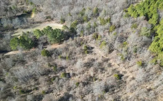 Hunting Land for Sale in Antlers, Oklahoma