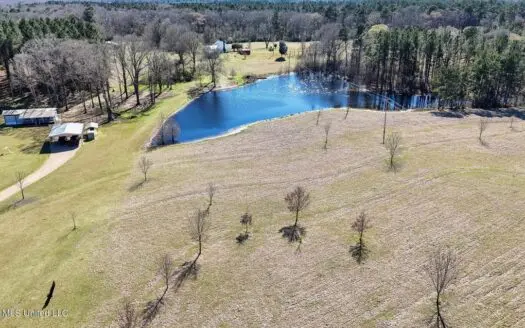 Amite County MS Turnkey 45 Acres