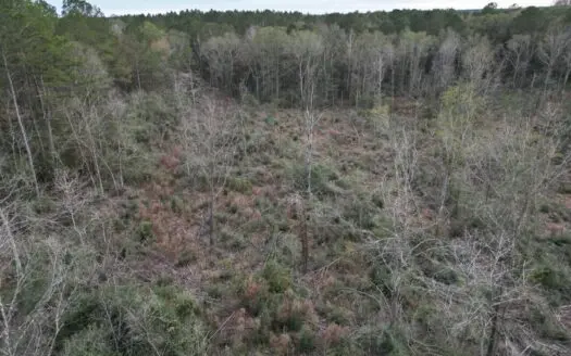 36 Acres in Pike County, Mississippi – Scenic Rural Retreat