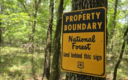 Blackfork River Country Homesite – Adjoining National Forest