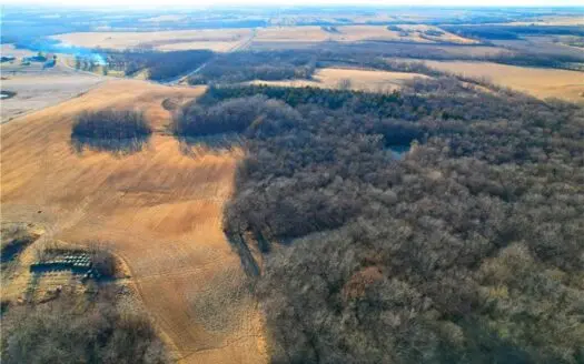 50± Acres | Proven Whitetail Hunting Farm with Pond & Homesite