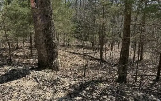 Small acreage for sale in Douglas County Mo with owner financing