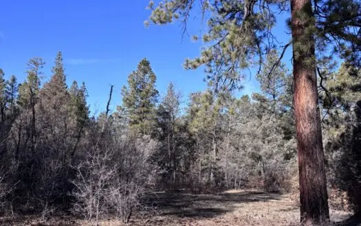 Scenic Mountain Retreat in Cebolla in Northern New Mexico