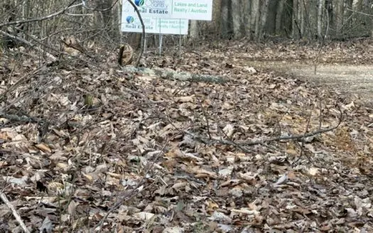 Hunter’s Paradise | 3.104+/-  Unrestricted Wooded Acres