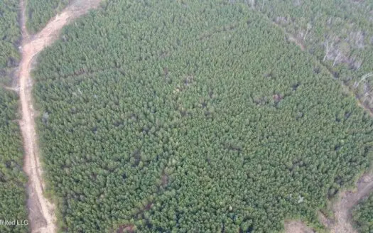 52 Acre Homesite Madison County Camden, MS
