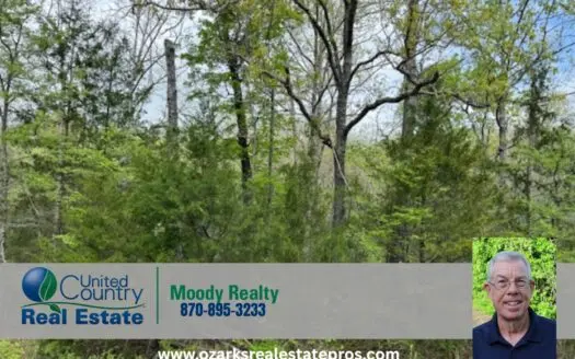 Ozarks Wooded Property For Sale Mammoth Spring Arkansas