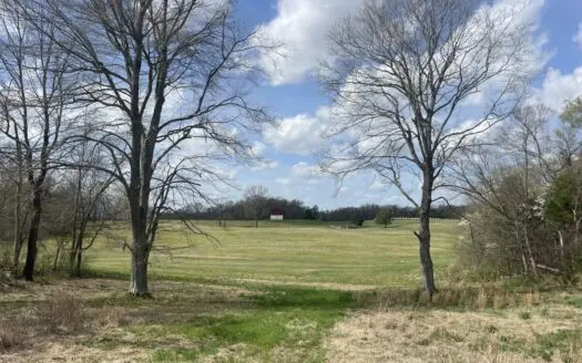 53.95 Acres of Prime Warren County Land at Auction in 4 Tracts