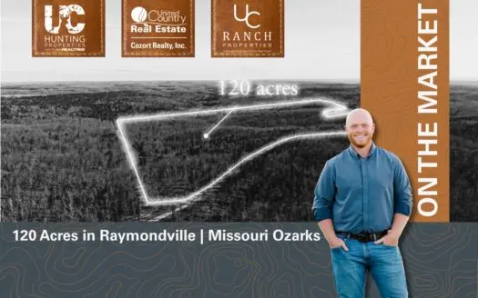 120 Acres in the Missouri Ozarks | Raymondville