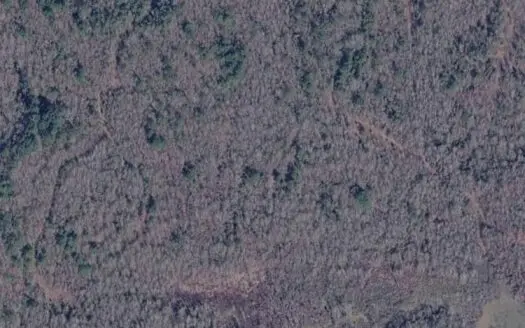 40-Acre Hunting Land for Sale in Kiblah, Arkansas