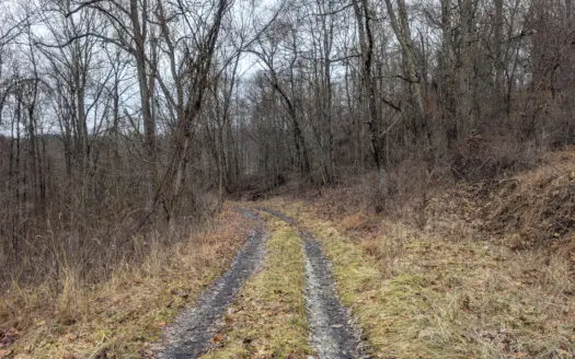 Tract 8 Dead End Road Old Homestead with Hunting and Timberland