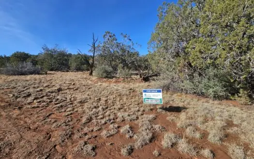 7+ acres in Seligman Off Grid heavily treed