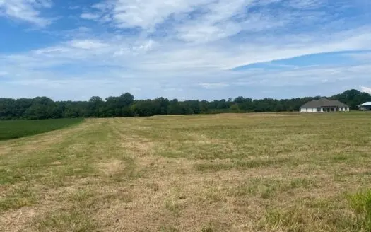 17 Acre Estate Lot in Pelahatchie, MS Rankin County