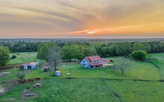55‑Acre Texas Cattle Ranch with 5BR Custom Home