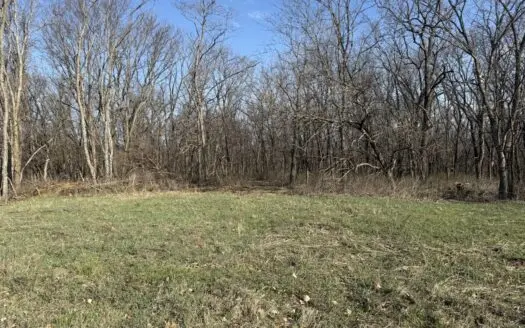 8 Acres of Timber – Great Hunting