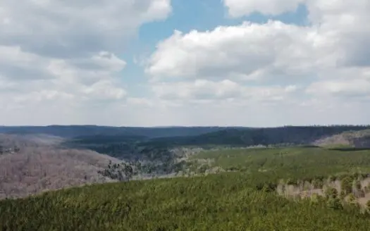 1,211± Acres of Pristine Tennessee Mountain Land For Sale!