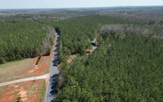 22 Acres with Creek Frontage & Pines in Buckingham, VA