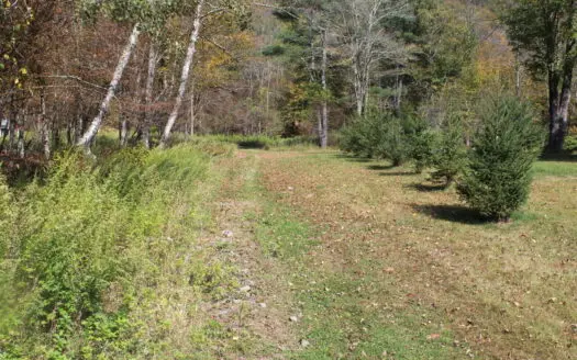 Sportsman’s Paradise Large Acreage For Sale in Roscoe, New York