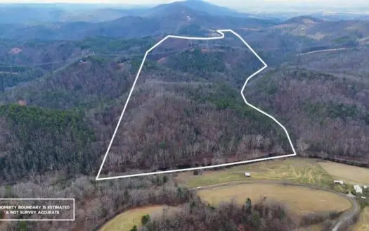144.8± Acres with Creek, Timber & Mountain Views in VA