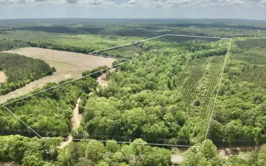 105ac Hunting Land South of Hartford Alabama w/ Hurricane Creek