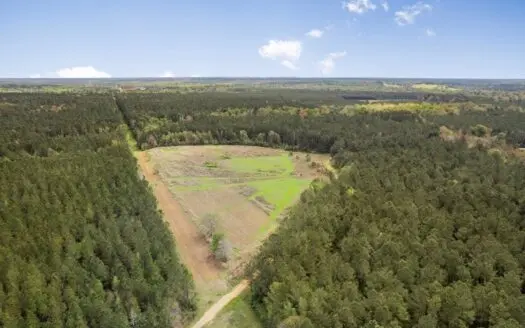 340 Acres Hunting Timberland for Sale St Helena Parish, LA