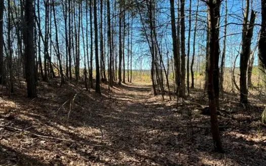 Land For Sale in Dunlap, Tennessee