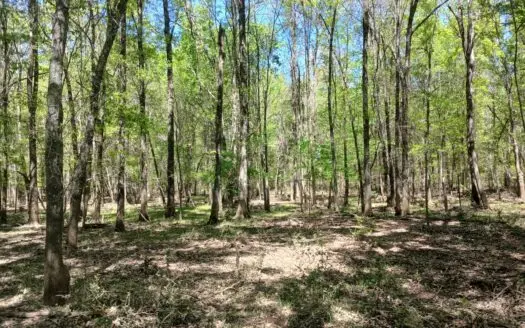 158± Acre Multi-Use Ranch & Hunting Property Near Antlers, OK