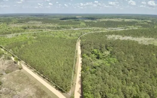 73ac Wooded Land located South of Hartford Alabama – Hunting