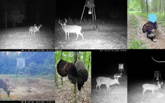 80± Acres Jefferson County MS Near Natchez Hunting Land Plus