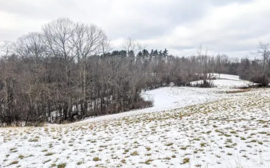 Tract 12- Outdoorsman Dream Hunting Property