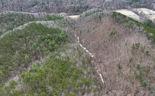 62.5± Acres Near Lake Moomaw | Auction Opportunity