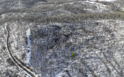 Tract 9 45± Acres Monroe County Recreational