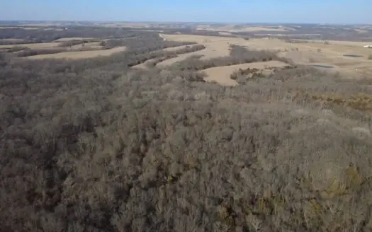 Premier 120-Acre Sportsman’s Paradise – Decatur County, Iowa