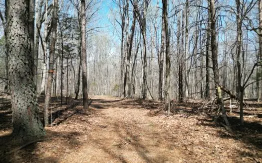12 Acres In Davidson County With Level Topography