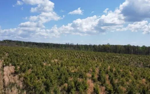 69± Acres of Tennessee Land with Creek, Views & Prime Hunting