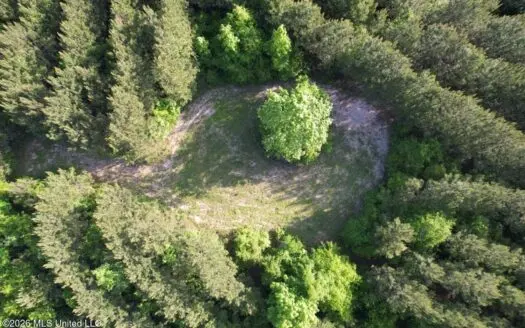 46 Acres in St. Helena Parish, LA Hunting Property for Sale