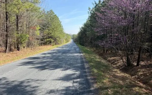 9 Acres with Road Frontage & Pines in Buckingham VA