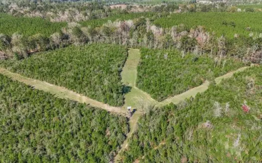 Hunting Land For Sale in Amite County MS